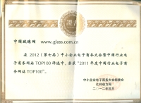 中国玻璃网荣获2011年度中国行业电子商务网站TOP100